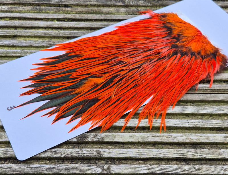 Whiting Farms - Brahma Rooster Saddle