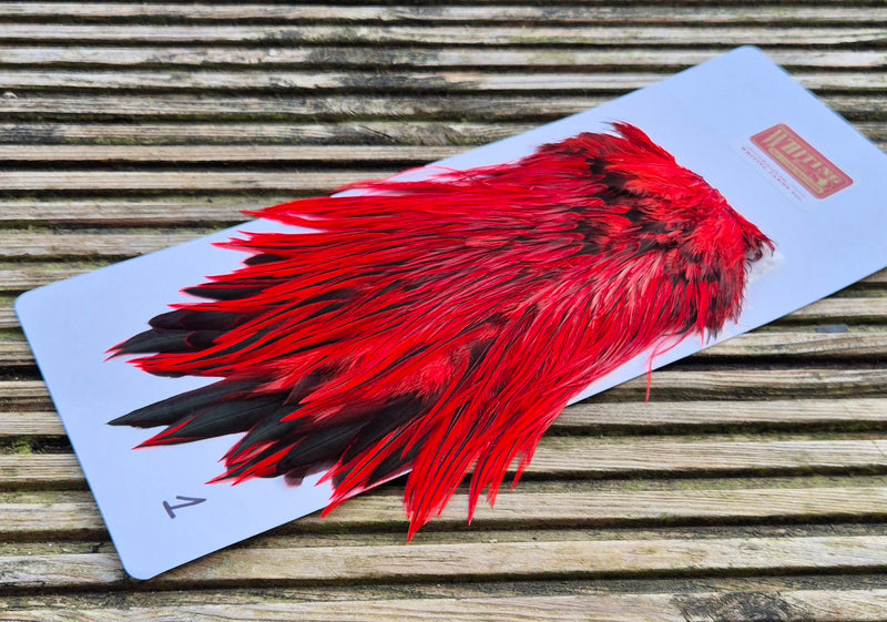 Whiting Farms - Brahma Rooster Saddle