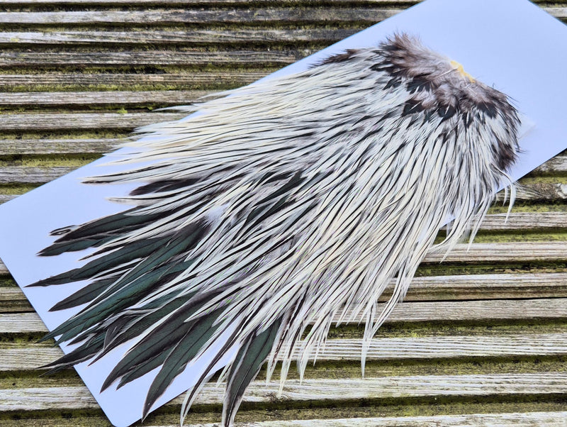 Whiting Farms - Brahma Rooster Saddle