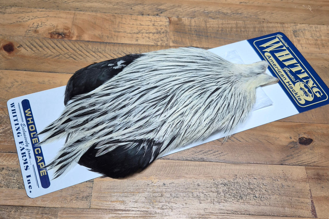 Whiting Farms - American Rooster Cape