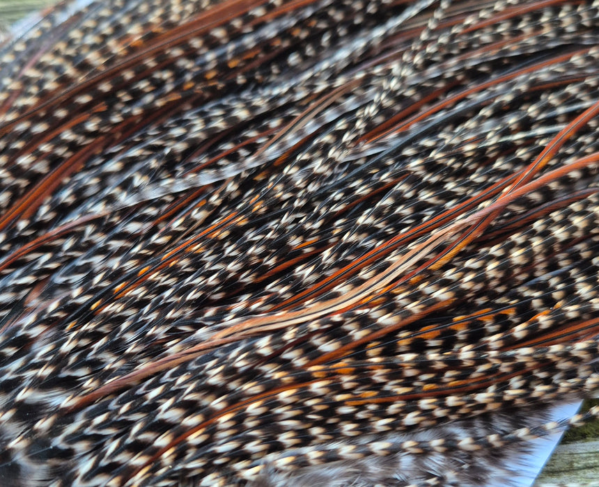 Whiting Farms - Pro Grade Midge Saddle - Grizzly Variant (Almost Cree)