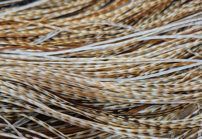 Whiting Farms - Pro Grade Midge Saddle - Barred Medium Ginger