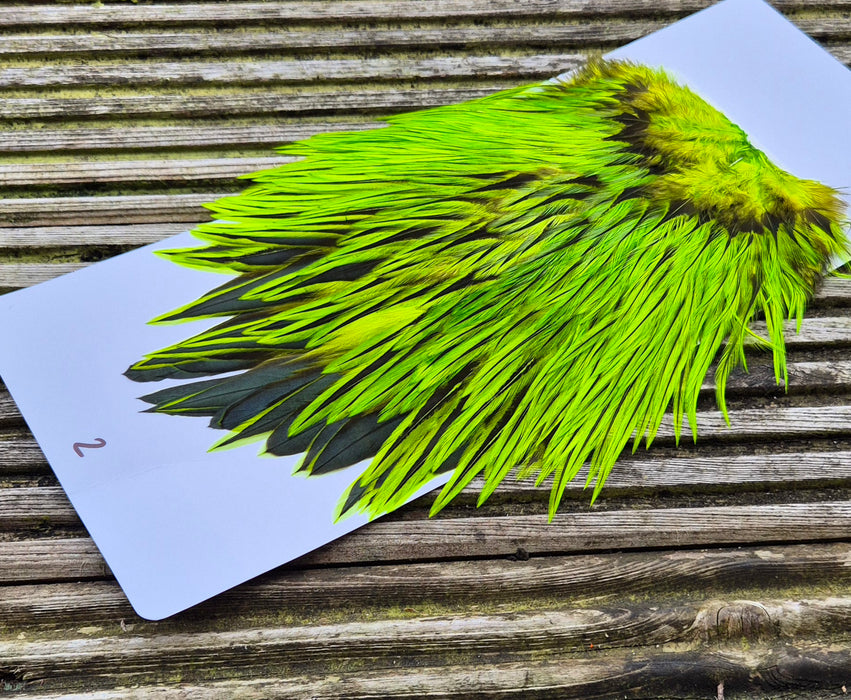 Whiting Farms - Brahma Rooster Saddle