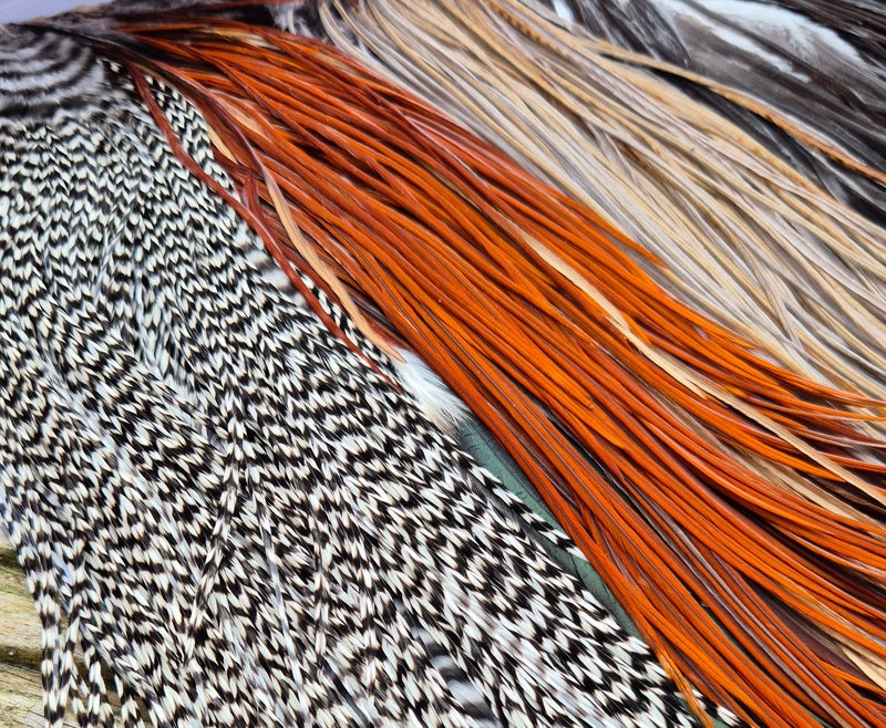 Whiting Farms - Introductory Hackle Pack - Four 1/2 Saddles