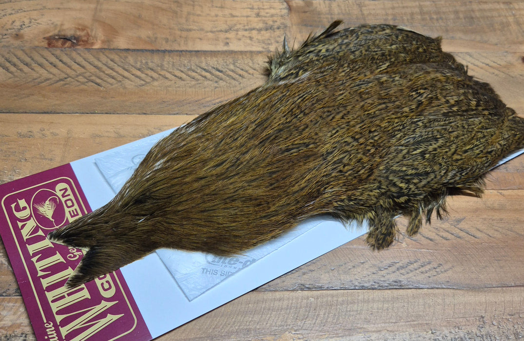 Whiting Farms - Coq de Leon Hen Capes