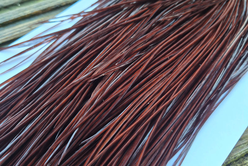 Whiting Farms - Commercial Grade Dry Fly Saddle - White Dyed Coachman Brown