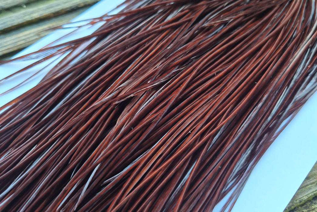 Whiting Farms - Commercial Grade Dry Fly Saddle - White Dyed Coachman Brown