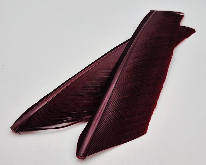 Nature's Spirit Turkey Biot Quills