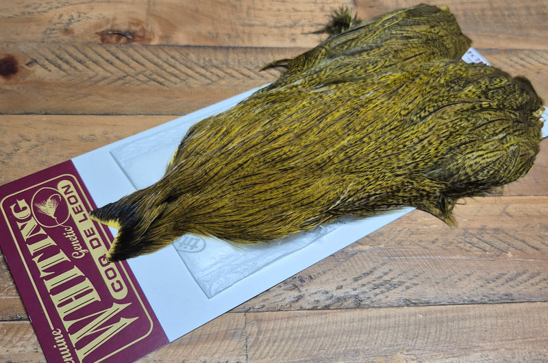 Whiting Farms - Coq de Leon Hen Capes