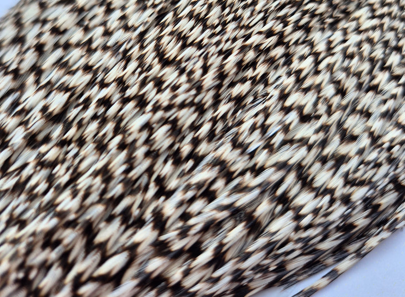 Whiting Farms - Commercial Grade Dry Fly Rooster Cape - Grizzly