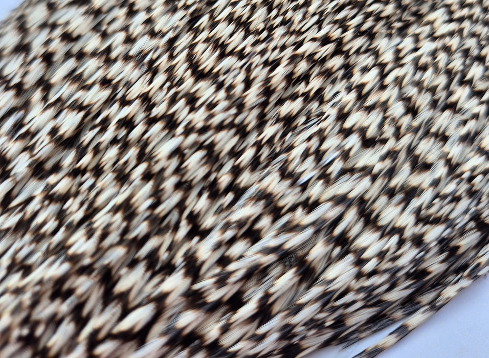 Whiting Farms - Commercial Grade Dry Fly Rooster Cape - Grizzly