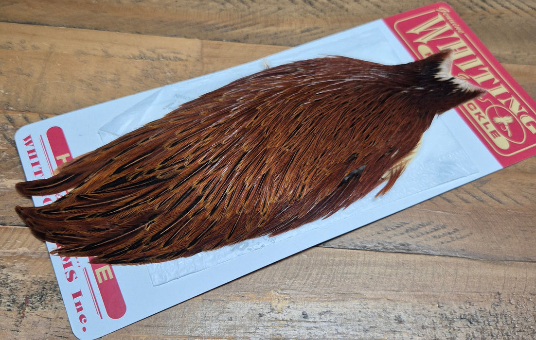 Whiting Farms - Hen Cape