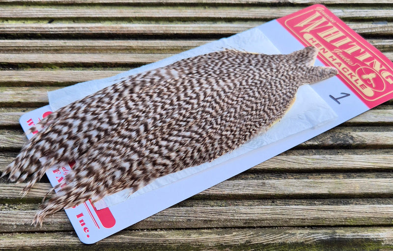 Whiting Farms - Hen Cape