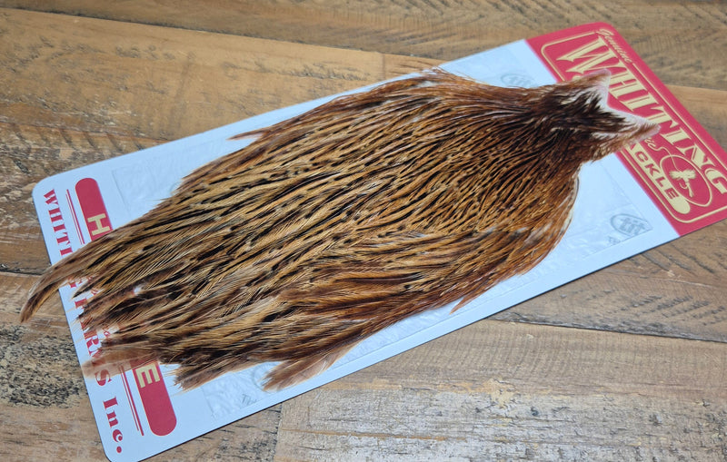 Whiting Farms - Hen Cape