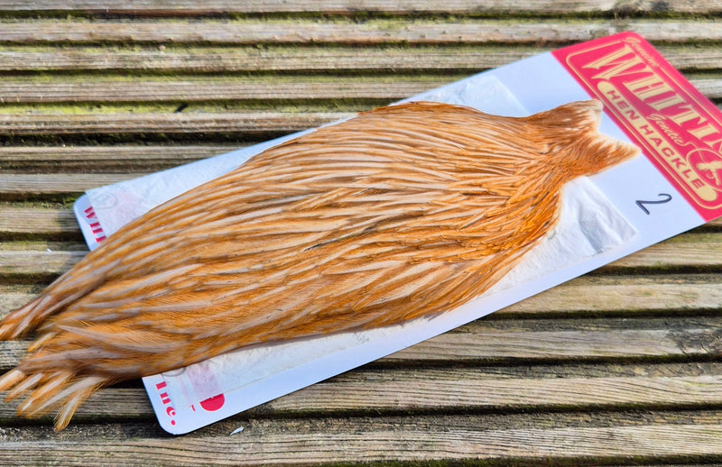 Whiting Farms - Hen Cape