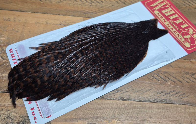 Whiting Farms - Hen Cape