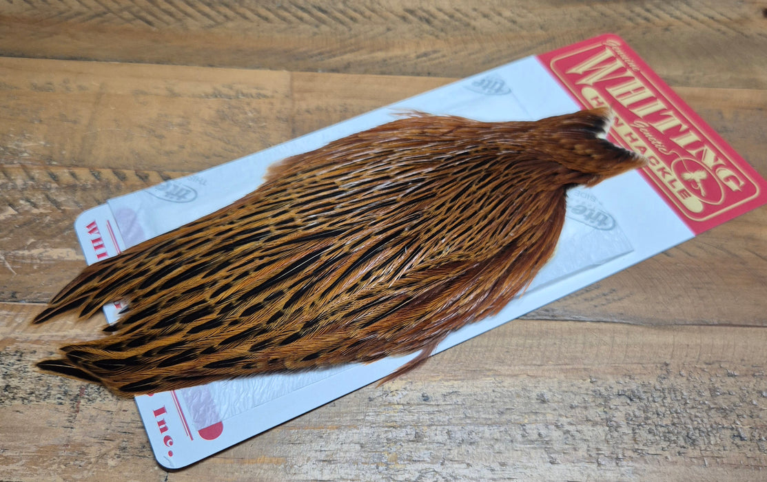 Whiting Farms - Hen Cape