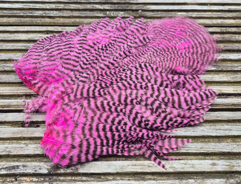 Whiting Farms -  Rooster Soft Hackle/Chickabou