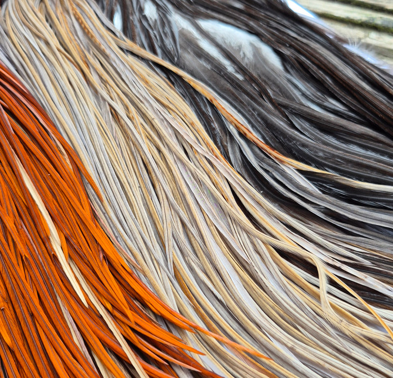 Whiting Farms - Introductory Hackle Pack - Four 1/2 Saddles