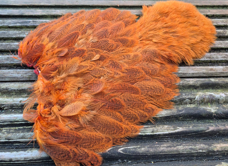 Whiting Farms - Brahma Hen Soft Hackle/Chickabou