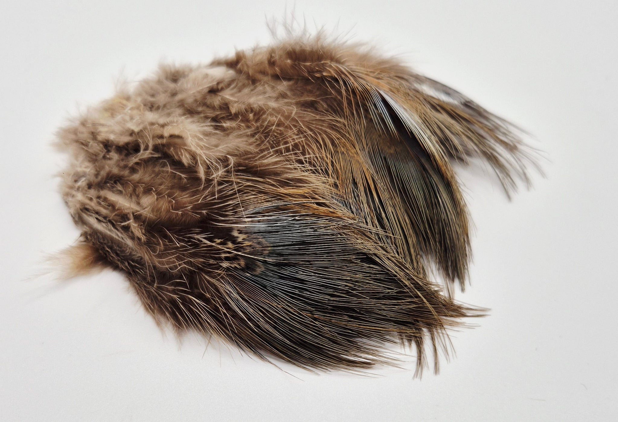 Nature's Spirit - Fish Hunter Strung Ringneck Pheasant Rump Hackle ...