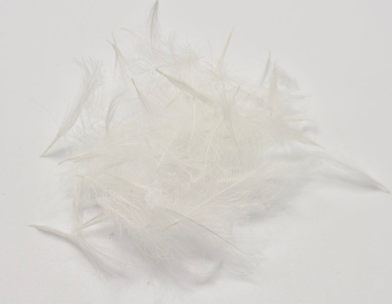 Nature's Spirit Duck Cul de Canard CDC