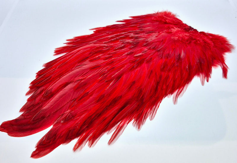 Whiting Farms 4B Rooster Saddle