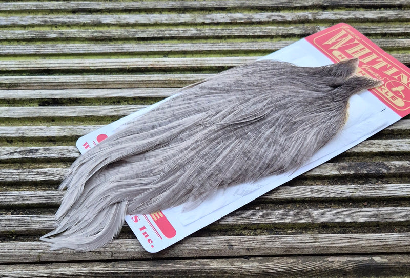 Whiting Farms - Hen Cape