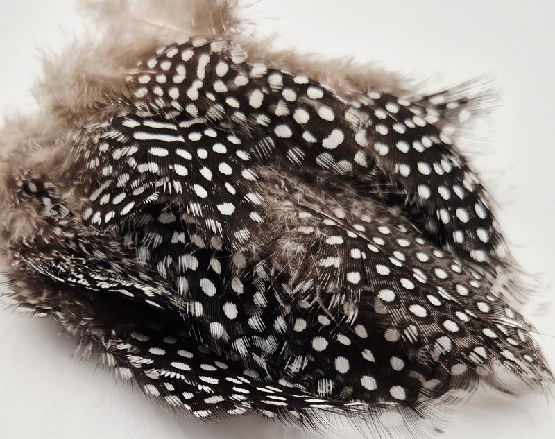 Nature's Spirit - Fish Hunter Large Dot Guinea Fowl