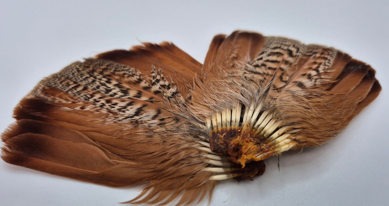 Veniard English Partridge Tails