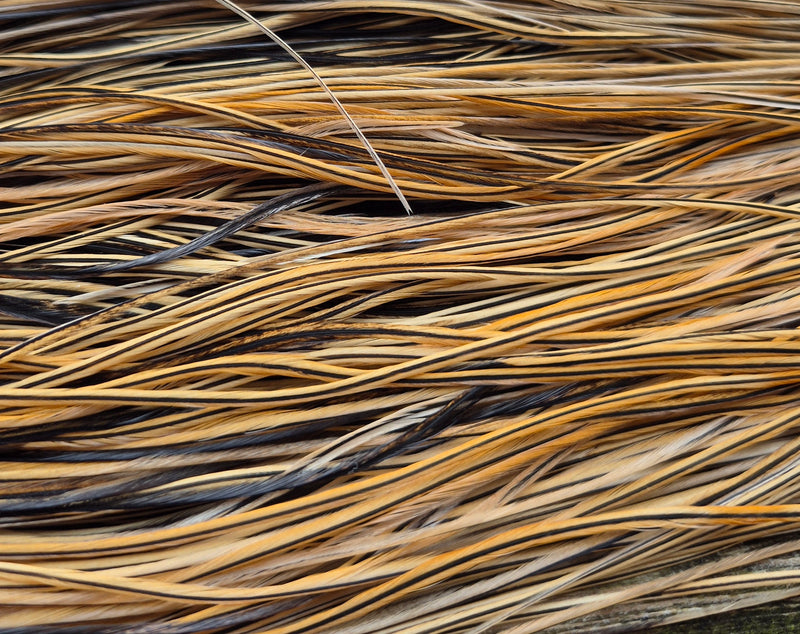 Whiting Farms - Pro Grade Midge Saddle - Golden Badger 2