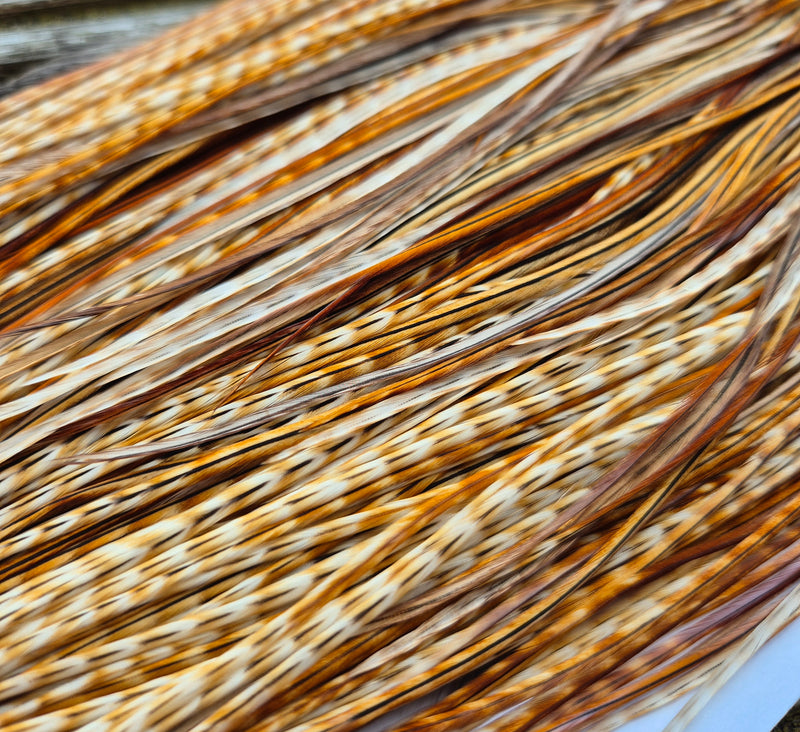 Whiting Farms - Pro Grade Midge Saddle - Barred Medium Ginger 2