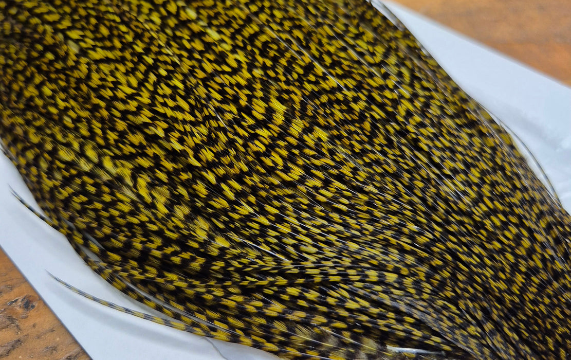 Whiting Farms - Commercial Grade Dry Fly Rooster Cape - Grizzly Dyed Dark Olive