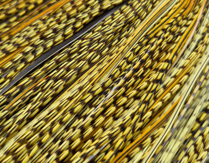 Whiting Farms - Pro Grade Midge Saddle - Grizzly Dyed Olive