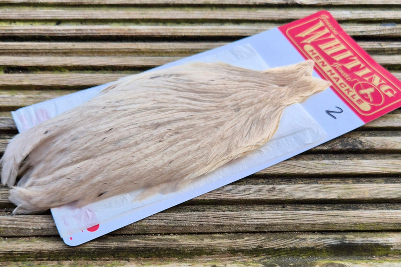 Whiting Farms - Hen Cape