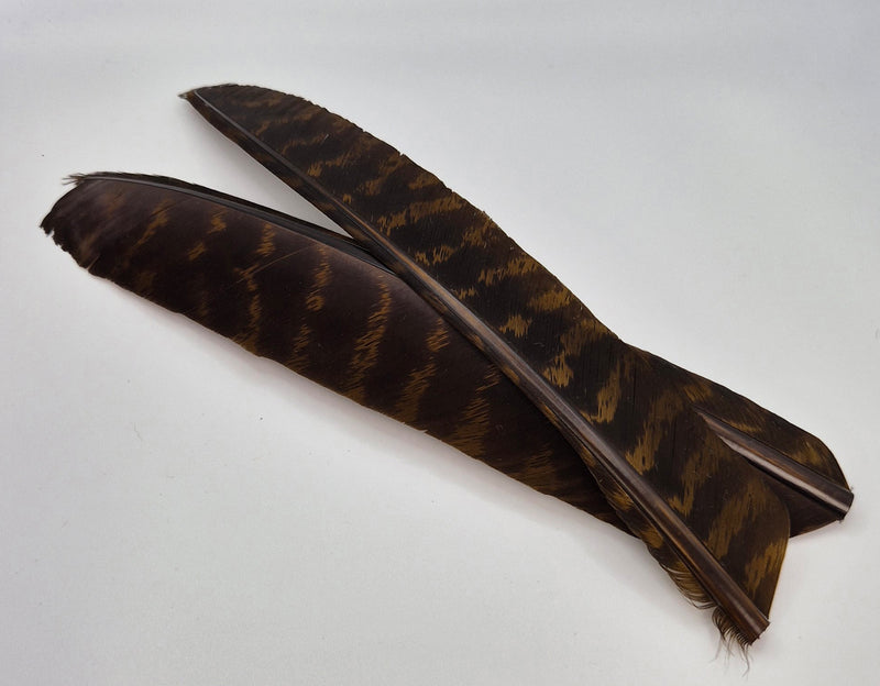 Nature's Spirit Wild Turkey Barred Biot Quills