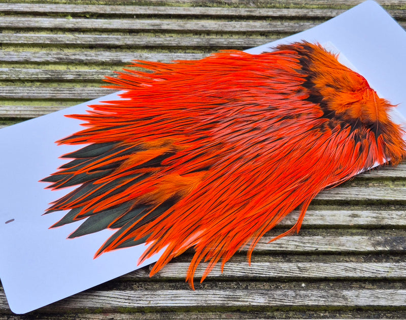 Whiting Farms - Brahma Rooster Saddle