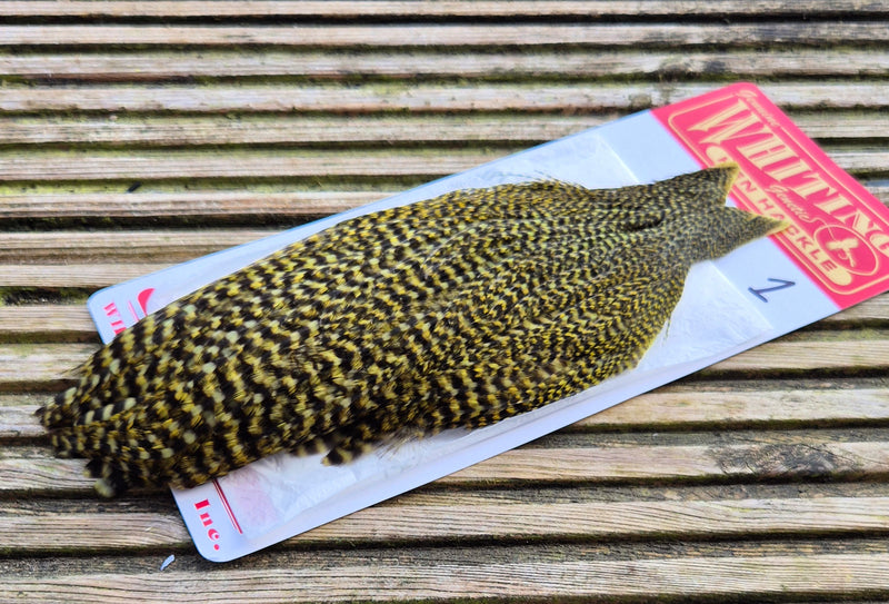 Whiting Farms - Hen Cape