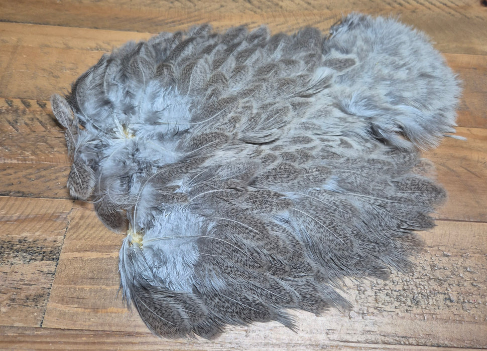 Whiting Farms - Brahma Hen Soft Hackle/Chickabou
