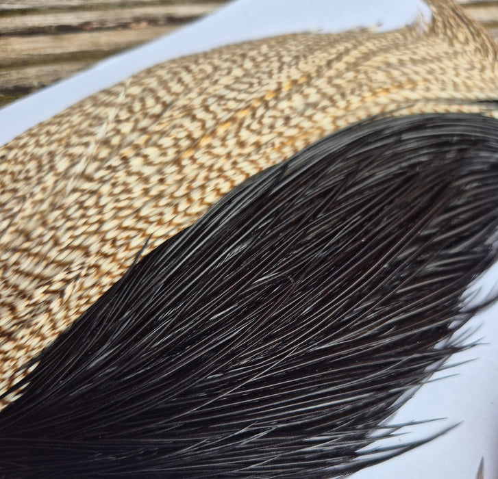 Whiting Farms Introductory Hackle Pack - Four Half Capes