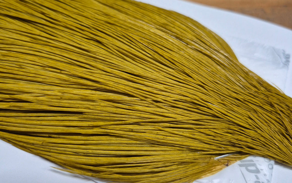 Whiting Farms - Commercial Grade Dry Fly Rooster Cape - White Dyed Golden Olive