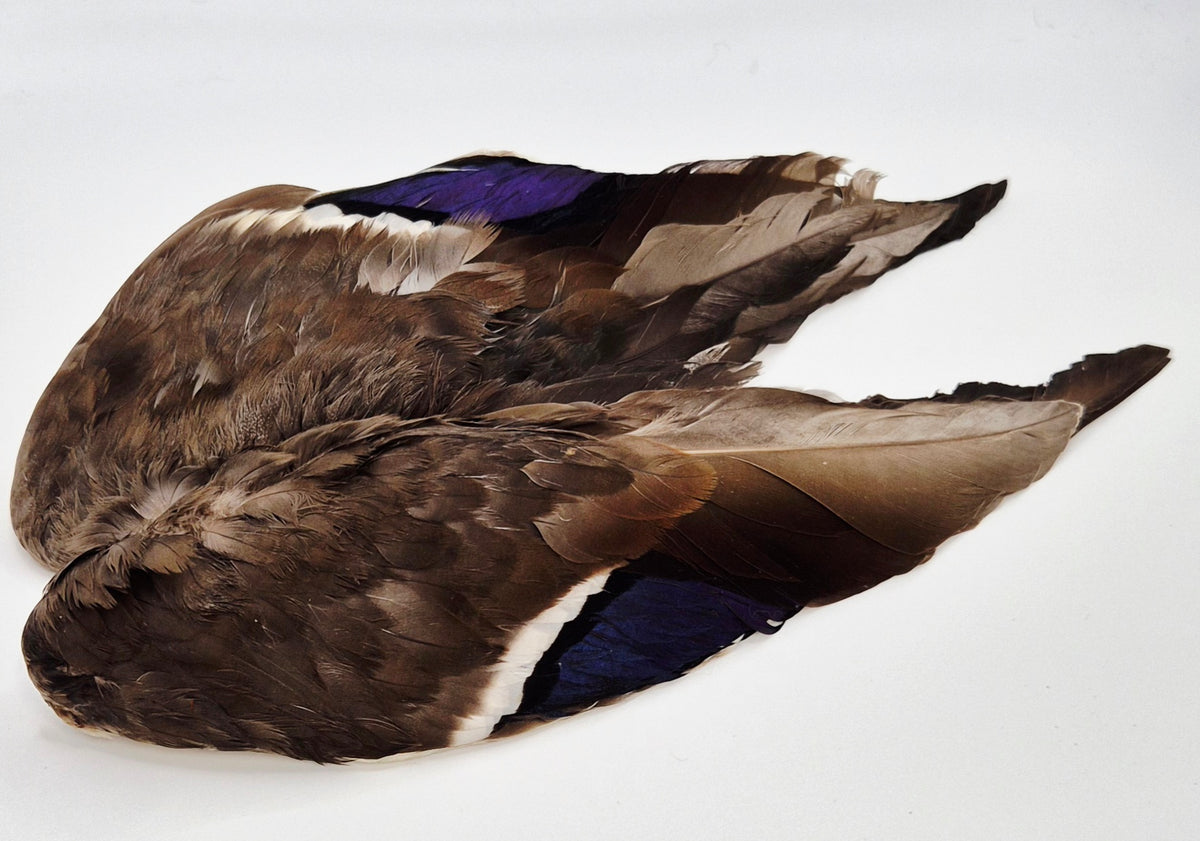 Veniard Mallard Duck Whole Wings — Chuck N Duck Fly Tying Materials