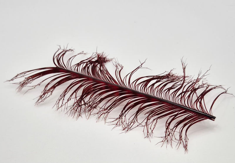 Veniard Cock Pheasant Knotted Tails