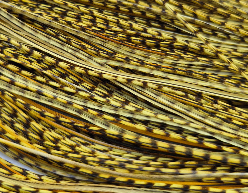 Whiting Farms - Pro Grade Midge Saddle - Grizzly Dyed Olive