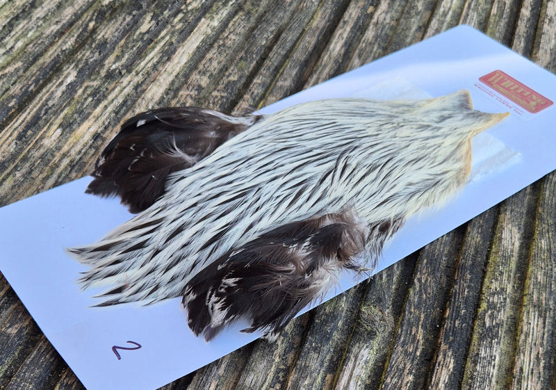 Whiting Farms - Brahma Rooster Cape - Badger