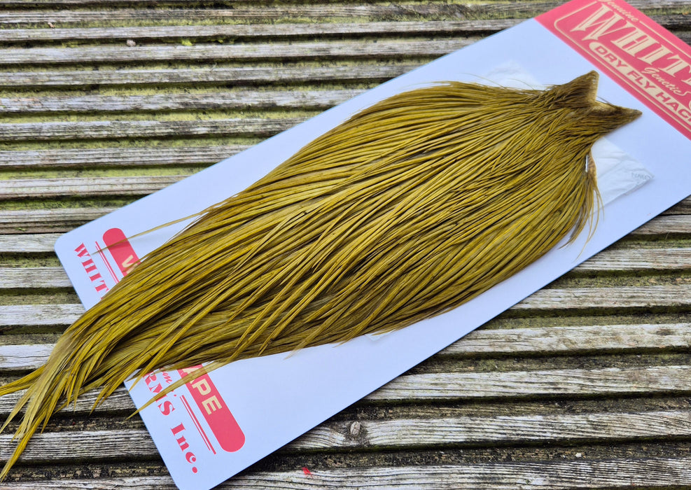 Whiting Farms - Commercial Grade Dry Fly Rooster Cape - White Dyed Dark Olive