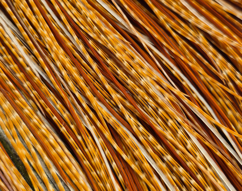 Whiting Farms - Pro Grade Midge Saddle - Barred Dark Ginger