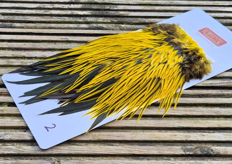 Whiting Farms - Brahma Rooster Saddle