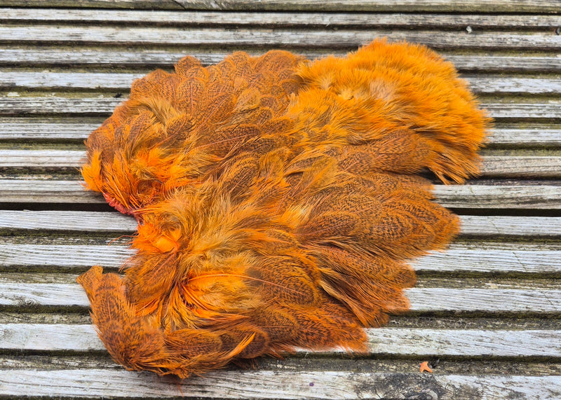 Whiting Farms - Brahma Hen Soft Hackle/Chickabou