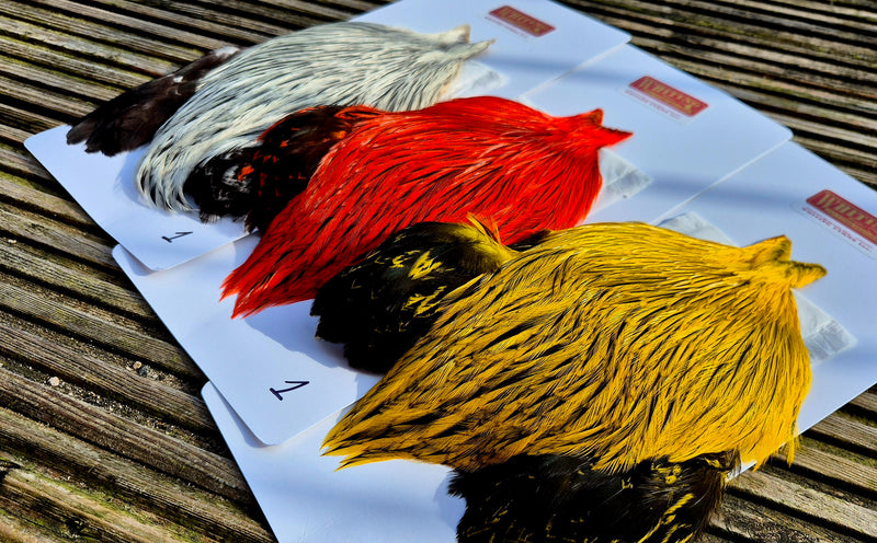 Whiting Farms - Brahma Rooster Cape - Badger